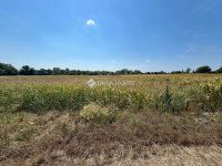 Eladó telek, Pátkán 4.5 M Ft / költözzbe.hu