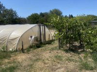 Eladó családi ház, Kecskeméten 49.5 M Ft, 2 szobás