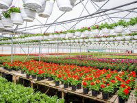 Eladó mezogazdasagi ingatlan