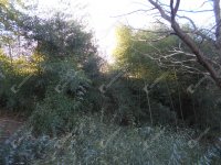 Eladó telek, Zalaegerszegen 9 M Ft / költözzbe.hu