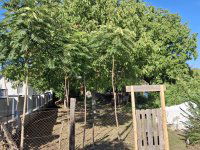 Eladó telek, XVI. kerületben 19 M Ft / költözzbe.hu