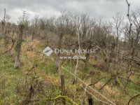 Eladó mezogazdasagi ingatlan