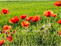 Eladó telek, Kunszentmártonban 16.99 M Ft / költözzbe.hu