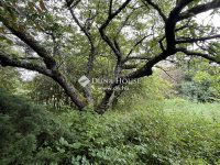 Eladó telek, Szombathelyen 6.9 M Ft / költözzbe.hu