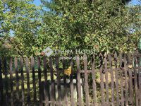 Eladó nyaraló, Pócsmegyeren 23.5 M Ft, 2 szobás