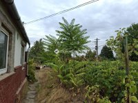 Eladó családi ház, Kulcson, Orgona utcában 18.5 M Ft, 1 szobás