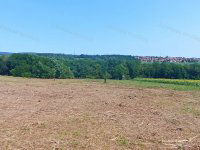 Eladó mezogazdasagi ingatlan, Felsőpáhokon 1.5 M Ft