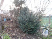 Eladó családi ház, Zalaegerszegen 24 M Ft, 2 szobás