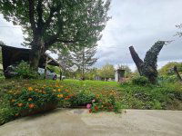 Eladó családi ház, Vácon 44.9 M Ft, 1 szobás