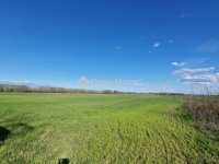 Eladó mezogazdasagi ingatlan, Sülysápon 40.5 M Ft