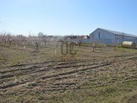 Eladó mezogazdasagi ingatlan, Abonyban 17 M Ft