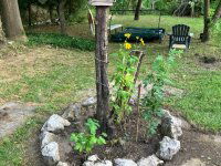 Eladó telek, Bőnyön 9.9 M Ft / költözzbe.hu