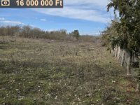 Eladó telek, Dabason 16 M Ft / költözzbe.hu