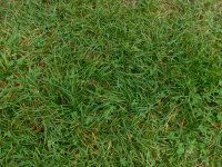 Eladó telek, Öreglakon 3.2 M Ft / költözzbe.hu