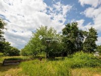 Eladó családi ház, Harsányban 399 M Ft, 7 szobás