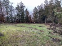 Eladó telek, Szigetszentmiklóson 38.9 M Ft / költözzbe.hu
