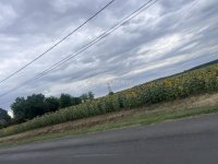 Eladó telek, Tápiógyörgyén 5.9 M Ft / költözzbe.hu