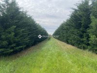 Eladó telek, Úrhidán 18 M Ft / költözzbe.hu