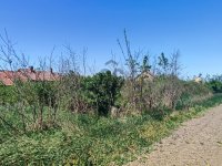 Eladó telek, Egyeken 1.2 M Ft / költözzbe.hu