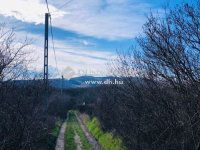 Eladó családi ház, Pécsett 6.9 M Ft, 1 szobás
