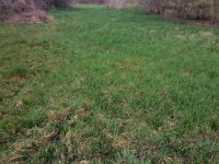 Eladó telek, Pusztaszabolcson 6.5 M Ft / költözzbe.hu