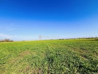 Eladó telek, Taksonyon 30 M Ft / költözzbe.hu