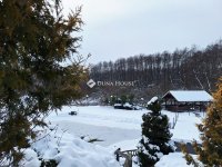 Eladó nyaraló, Domonyban 239.9 M Ft, 4 szobás