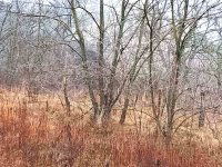 Eladó telek, Óbarokon 14.3 M Ft / költözzbe.hu