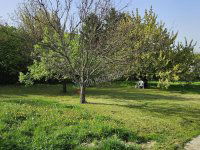 Eladó telek, Budakeszin 69 M Ft / költözzbe.hu