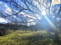 Eladó telek, Sárszentmihályon 13 M Ft / költözzbe.hu