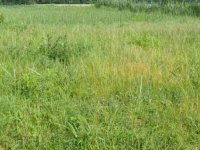 Eladó telek, Siófokon 39.9 M Ft / költözzbe.hu