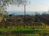 Eladó telek, Balatonalmádiban 179 M Ft / költözzbe.hu