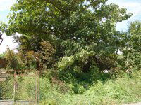 Eladó telek, Letenyén 6.5 M Ft / költözzbe.hu