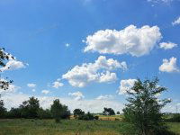 Eladó ipari ingatlan, Lajosmizsén 850 M Ft / költözzbe.hu