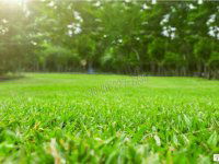 Eladó telek, Ráckevén 1.25 M Ft / költözzbe.hu