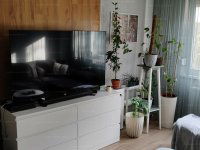 Eladó panellakás, Szegeden, Csorba utcában 47 M Ft, 1+1 szobás