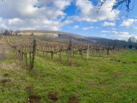 Eladó mezogazdasagi ingatlan