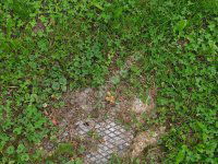 Eladó telek, Rédicsen 5.5 M Ft / költözzbe.hu