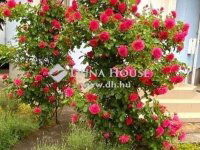 Eladó családi ház, Maglódon 129.9 M Ft, 4 szobás