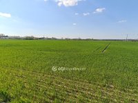 Eladó mezogazdasagi ingatlan, Szigetszentmiklóson 99.9 M Ft