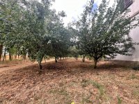 Eladó mezogazdasagi ingatlan, Bólyban 1.2 M Ft