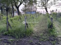 Eladó telek, Mezőfalván 23.7 M Ft / költözzbe.hu