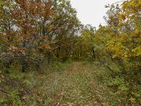 Eladó telek, Pécselyen 24.99 M Ft / költözzbe.hu