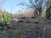 Eladó telek, Zalakaroson 9.99 M Ft / költözzbe.hu