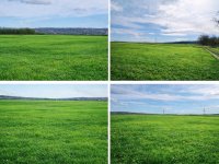 Eladó mezogazdasagi ingatlan, XV. kerületben 6.7 M Ft