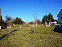 Eladó telek, Pusztazámoron, Kossuth Lajos utcában 40 M Ft