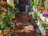 Eladó téglalakás, XII. kerületben 365 M Ft, 7 szobás