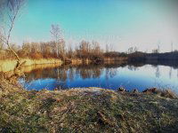 Eladó mezogazdasagi ingatlan, Károlyházán 62 M Ft