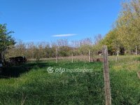 Eladó telek, Szobon 32 M Ft / költözzbe.hu