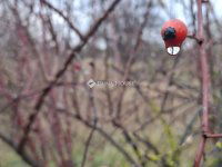 Eladó telek, Hatvanban 17 M Ft / költözzbe.hu